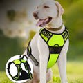 HAPPYPAWS - DOGHARNESS