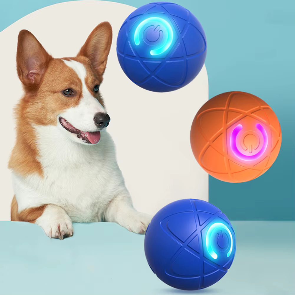 HAPPYPAWS - MOVEBALL